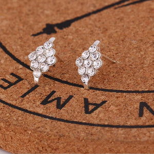 Women Exquisite Small Stud Earrings